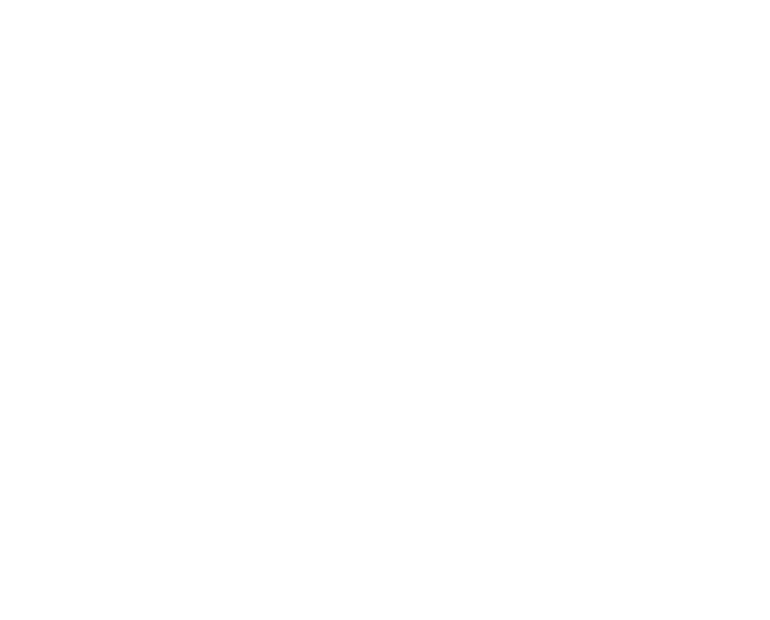 damder-logo